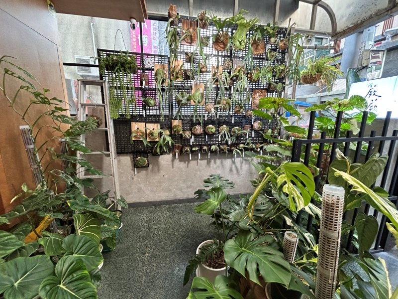 新竹|蕨蕨植栽咖啡店 - 第2張圖