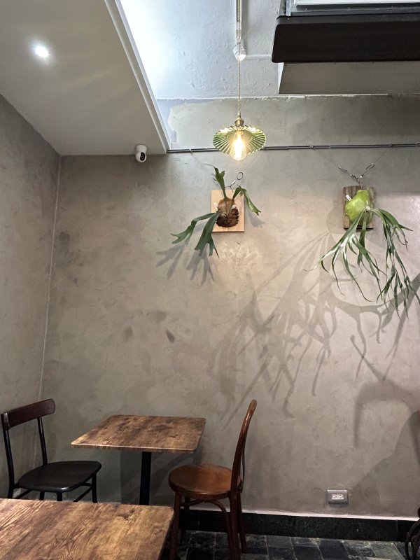 新竹|蕨蕨植栽咖啡店 - 第7張圖