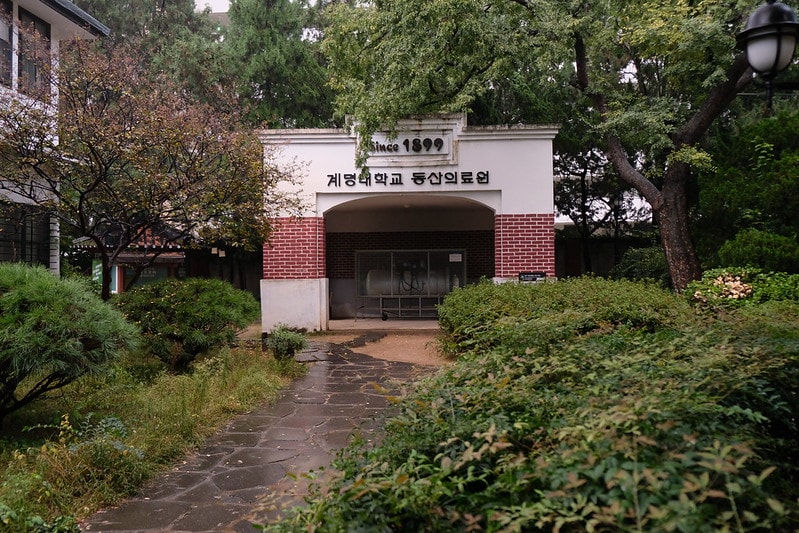 韓國|大邱 近代文化胡同:在絕美的巷弄胡同間,見證韓國的近代史 - 第27張圖