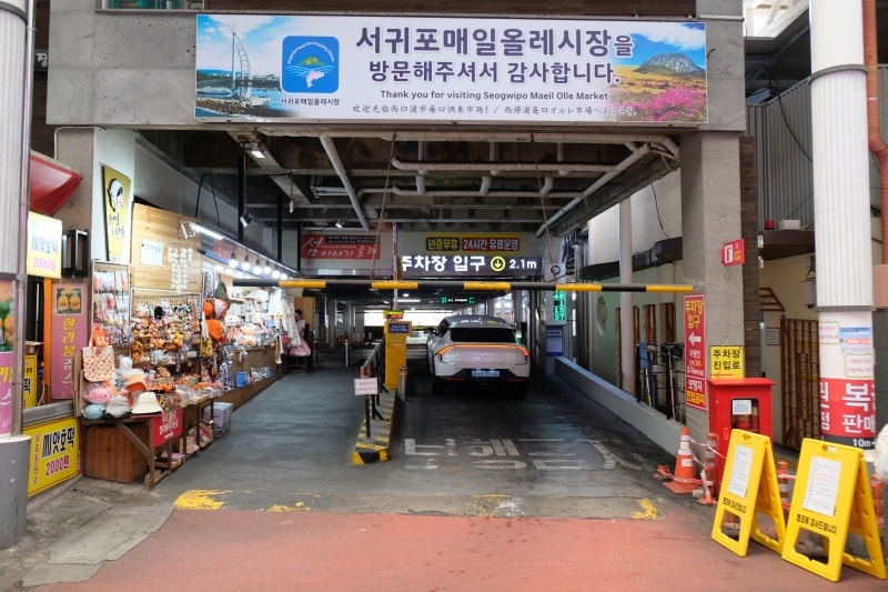 韓國｜濟州島 西歸浦每日偶來市場 서귀포매일올레시장：必逛在地市場、美食小吃一次整理