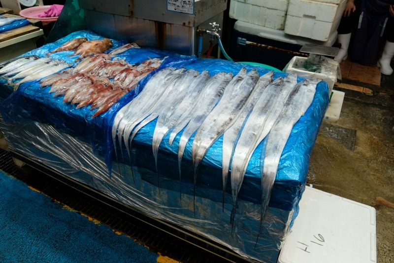 韓國｜濟州島 西歸浦每日偶來市場 서귀포매일올레시장：必逛在地市場、美食小吃一次整理