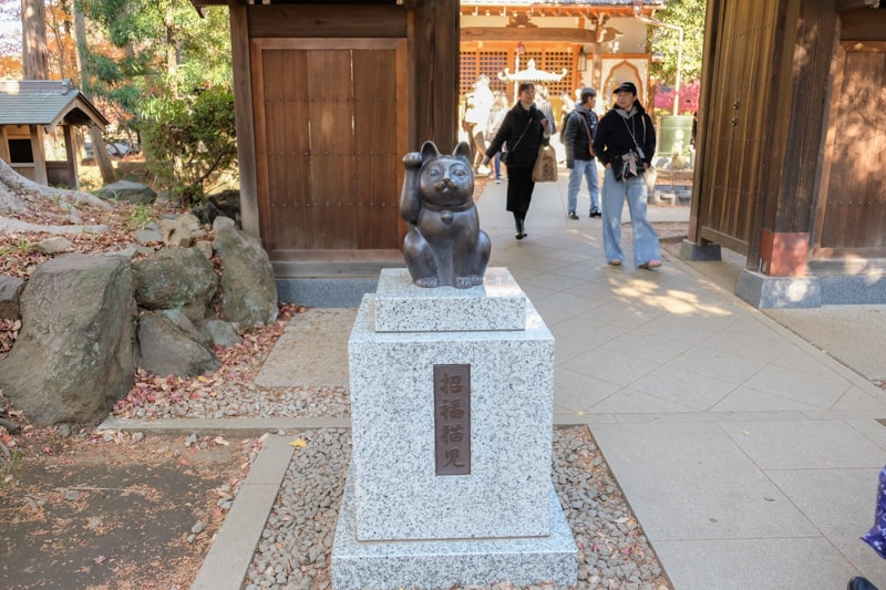 日本|東京 豪德寺:招福貓購買、參拜體驗、傳說、歷史與交通方式一次整理 - 第12張圖 日本|東京 豪德寺:招福貓購買、參拜體驗、傳說、歷史與交通方式一次整理