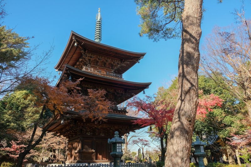 日本|東京 豪德寺:招福貓購買、參拜體驗、傳說、歷史與交通方式一次整理 - 第22張圖 日本|東京 豪德寺:招福貓購買、參拜體驗、傳說、歷史與交通方式一次整理