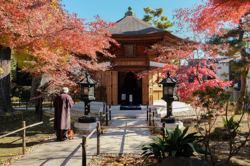 日本|東京 豪德寺:招福貓購買、參拜體驗、傳說、歷史與交通方式一次整理 - 第29張圖 日本|東京 豪德寺:招福貓購買、參拜體驗、傳說、歷史與交通方式一次整理