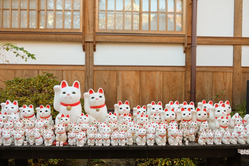 日本|東京 豪德寺:招福貓購買、參拜體驗、傳說、歷史與交通方式一次整理 - 第15張圖 日本|東京 豪德寺:招福貓購買、參拜體驗、傳說、歷史與交通方式一次整理