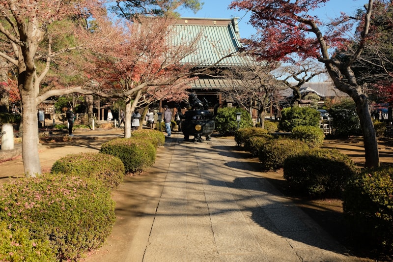 日本|東京 豪德寺:招福貓購買、參拜體驗、傳說、歷史與交通方式一次整理 - 第25張圖 日本|東京 豪德寺:招福貓購買、參拜體驗、傳說、歷史與交通方式一次整理