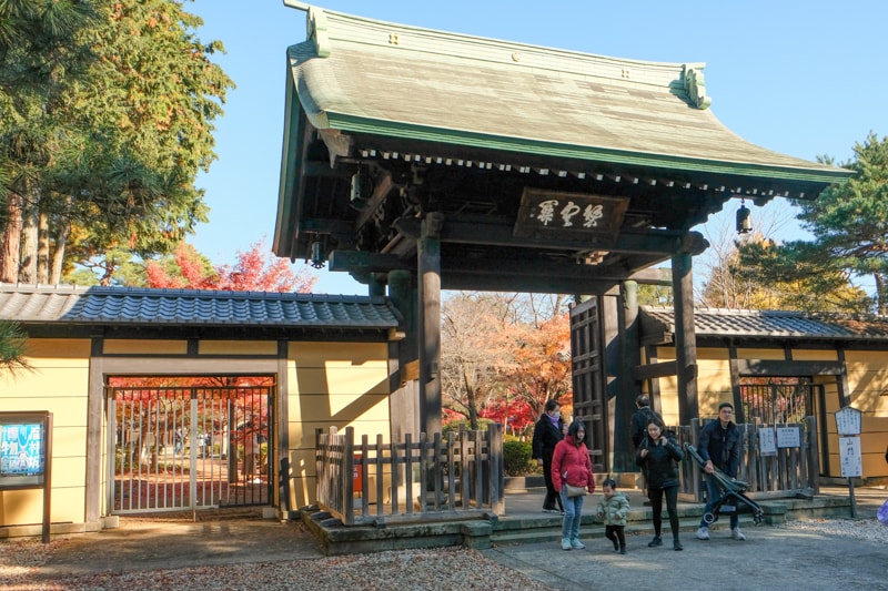 日本|東京 豪德寺:招福貓購買、參拜體驗、傳說、歷史與交通方式一次整理 - 第3張圖 日本|東京 豪德寺:招福貓購買、參拜體驗、傳說、歷史與交通方式一次整理
