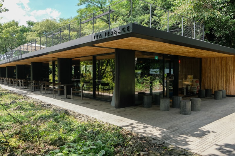 TEA TERRACE 有室外座位區，讓遊客們可以更親近自然景觀。
