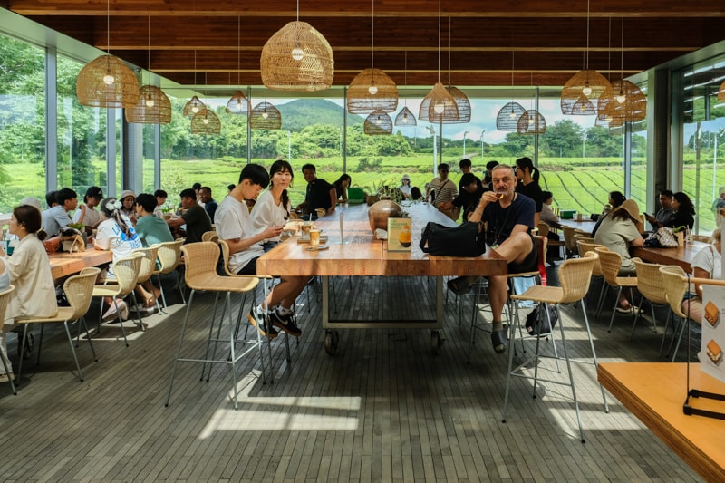 用餐的空間很舒適，落地窗外就是大家都不會錯過的綠茶園。