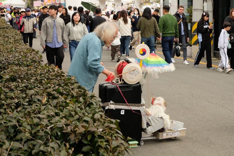 韓國|釜山 鎮海軍港節 賞櫻自助行:慶和火車站和余佐川羅曼史橋,釜山出發一日遊完整攻略 - 第9張圖 韓國|釜山 鎮海軍港節 賞櫻自助行:慶和火車站和余佐川羅曼史橋,釜山出發一日遊完整攻略