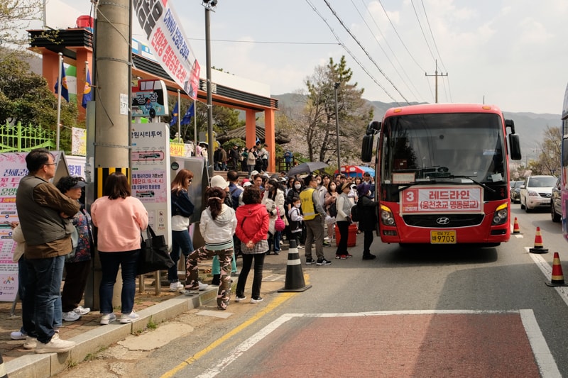 韓國|釜山 鎮海軍港節 賞櫻自助行:慶和火車站和余佐川羅曼史橋,釜山出發一日遊完整攻略 - 第2張圖 韓國|釜山 鎮海軍港節 賞櫻自助行:慶和火車站和余佐川羅曼史橋,釜山出發一日遊完整攻略