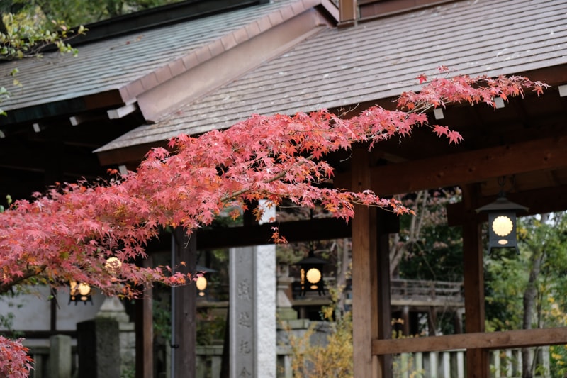 日本｜東京 川越：冰川神社攻1500年求姻緣聖地、釣鯛魚御神籤與風鈴祭完全指南