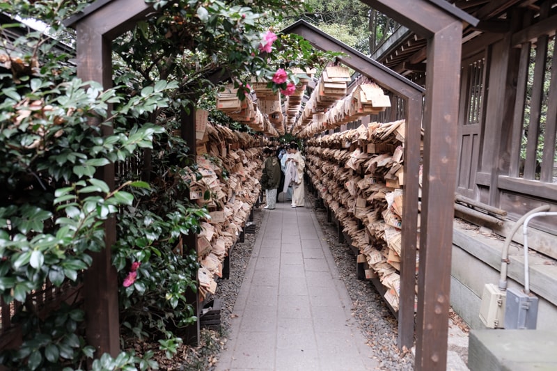 日本｜東京 川越：冰川神社攻1500年求姻緣聖地、釣鯛魚御神籤與風鈴祭完全指南