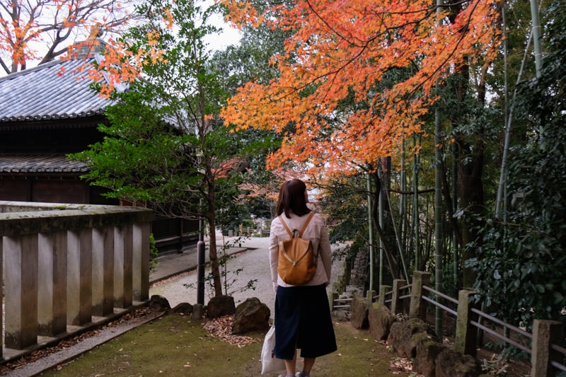 日本｜東京 川越：喜多院攻略 江戶城遺構、五百羅漢與德川歷史完全指南
