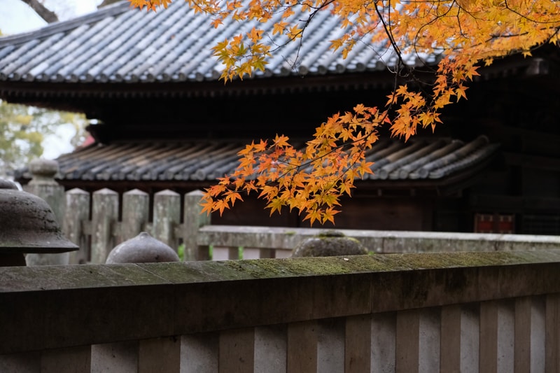 日本｜東京 川越：喜多院攻略 江戶城遺構、五百羅漢與德川歷史完全指南