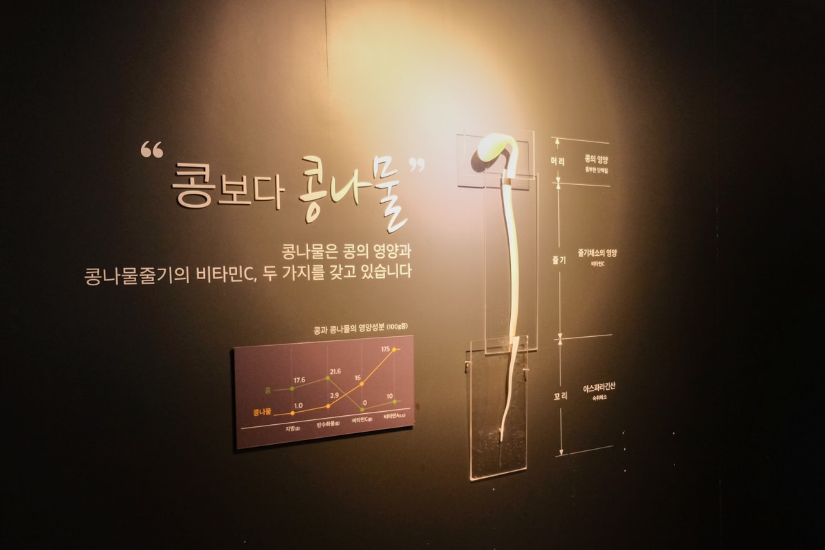 韓國｜全州 現代屋全州總店：黃豆芽湯飯發源地、菜單推薦與豆芽博物館